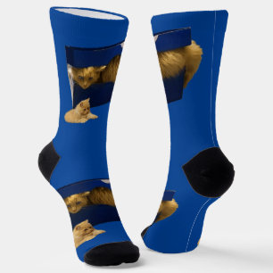 Funny Shock Box Katze, Crew Socken