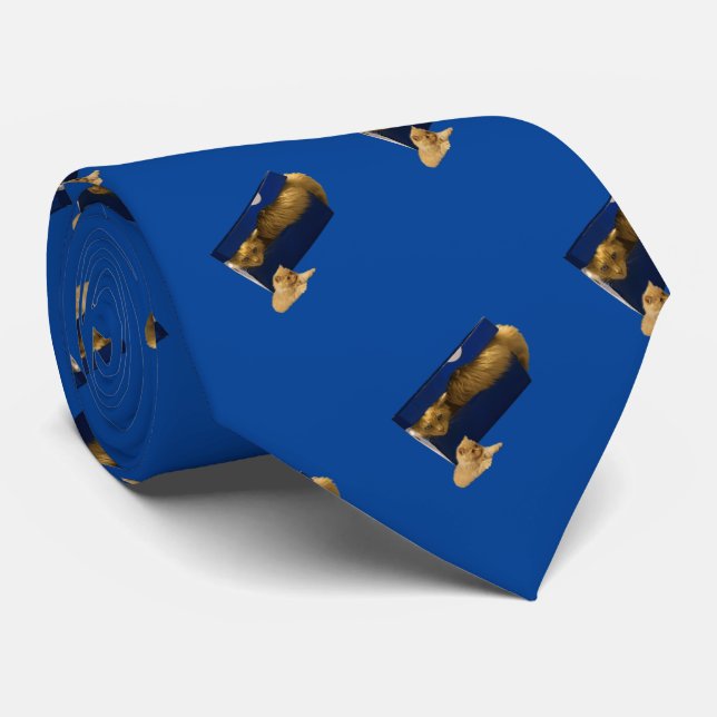 Funny Shoe Box Ginger Cat, Neck Tie Krawatte (Gerollt)