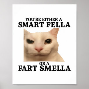 Funny Sie entweder eine Smart Fella oder eine Furz Poster