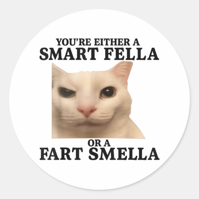 Funny Sie entweder eine Smart Fella oder eine Furz Runder Aufkleber (Vorderseite)