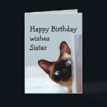 Funny Sister Birthday wünscht Siamese Cat Animal Karte<br><div class="desc">Funny Sister Birthday wünscht Ihnen einen Siamkatzen Spaß. Ideal für diese Schwester in Ihrem Leben mit einem Gefühl von Spaß,  einer Liebe von Katzen und einem Geburtstag</div>