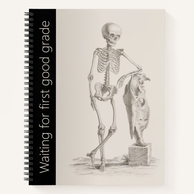 Funny Skeleton School, University Spiral Notebook Notizbuch (Vorderseite)