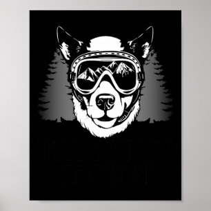Funny Skiing Hund Langlauf Skifahren Skifahren Win Poster