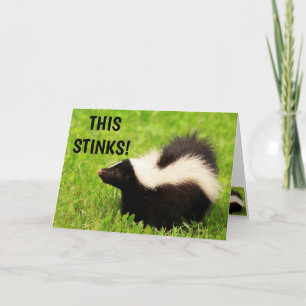 Funny Skunk Feel Better Karte