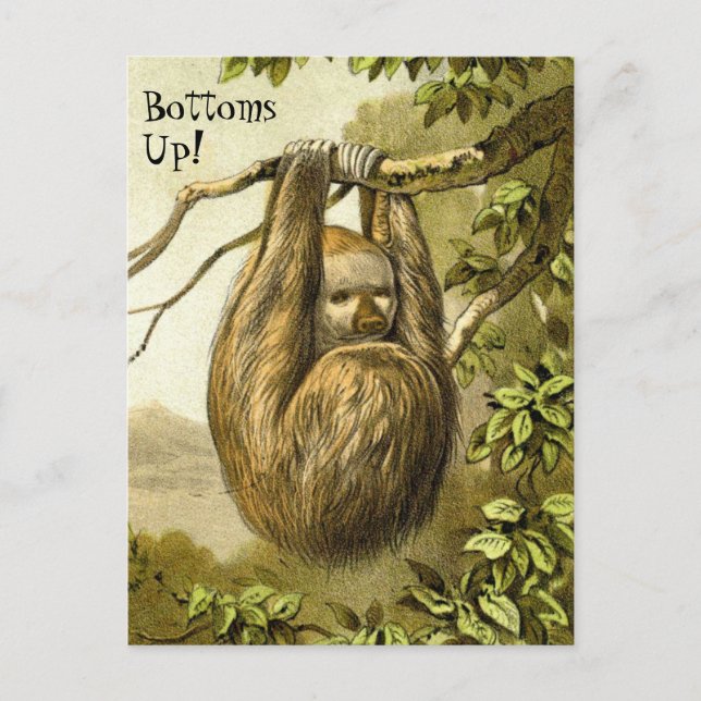 Funny Sloth mit der Postkarte "Bottom Up" (Vorderseite)