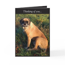 Funny Smiling Anglais Mastiff Carte Chien