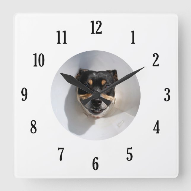 Funny smiling dog clock quadratische wanduhr (Vorderseite)
