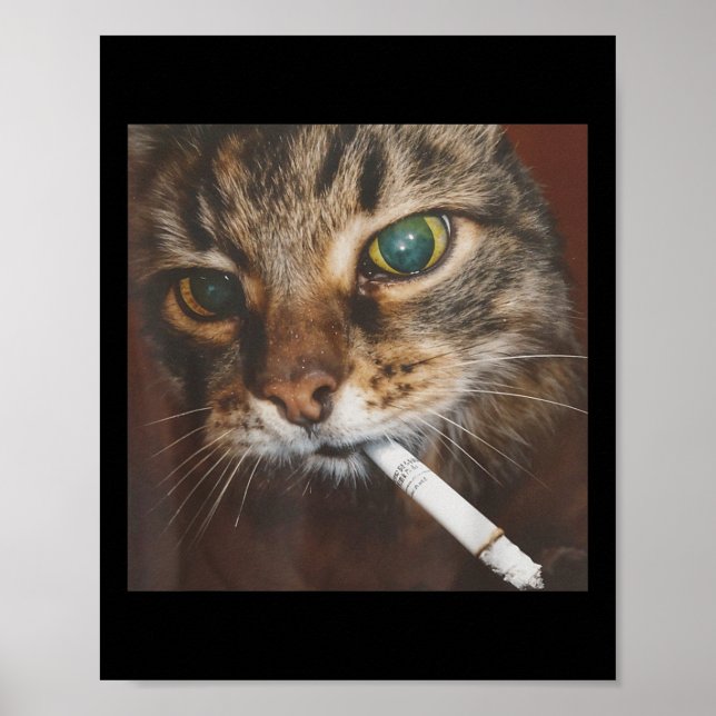 Funny Smoking Cat Meme Poster (Vorne)