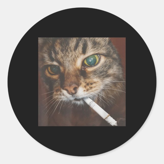 Funny Smoking Cat Meme Runder Aufkleber (Vorderseite)