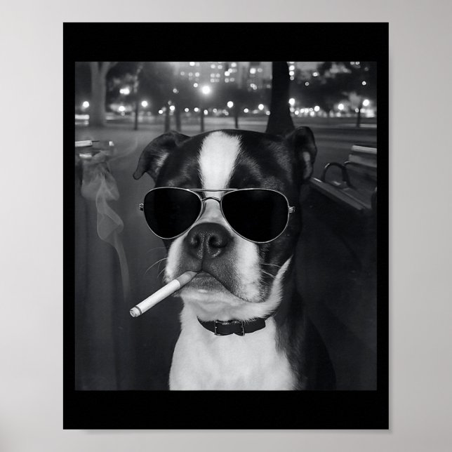 Funny Smoking Dog Meme Cigarette Gen Z Meme Dog Lo Poster (Vorne)