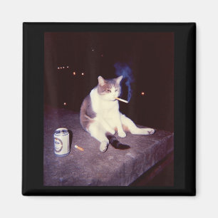 Funny Smoking Meme Cigarette Kitten Brainrot Alber Magnet