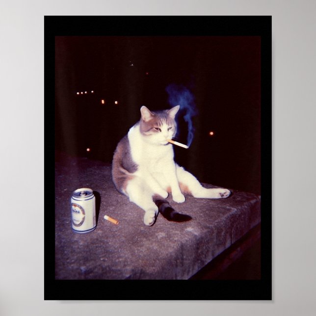 Funny Smoking Meme Cigarette Kitten Brainrot Alber Poster (Vorne)