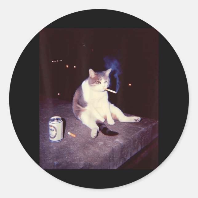 Funny Smoking Meme Cigarette Kitten Brainrot Alber Runder Aufkleber (Vorderseite)