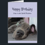 Funny Social Distancing Birthday Great Dane Dog<br><div class="desc">Funny Social Distancing Birthday Card with hat Essen gemacht,  laying around,  doing nothing Great Dane Dog. Inside gießt: Make sure you don't overdo the partying this year. Great card for that special person with a sense of humor or one who likes Great Danes,  dogs and humor</div>