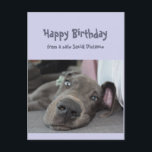 Funny Social Distancing Birthday Great Dane Dog Postkarte<br><div class="desc">Funny Social Distancing Birthday Card with hat Essen gemacht, laying around, doing nothing Great Dane Dog. Inside gießt: Make sure you don't overdo the partying this year. Great card for that special person with a sense of humor or one who likes Great Danes, dogs and humor</div>