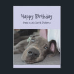 Funny Social Distancing Birthday Great Dane Dog Postkarte<br><div class="desc">Funny Social Distancing Birthday Card with hat Essen gemacht,  laying around,  doing nothing Great Dane Dog. Inside gießt: Make sure you don't overdo the partying this year. Great card for that special person with a sense of humor or one who likes Great Danes,  dogs and humor</div>