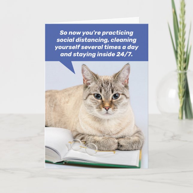 Funny Social Distancing House Cat - Kopier Card Karte (Vorderseite)