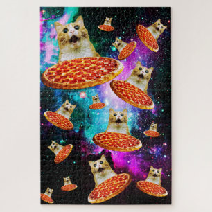 Funny space pizza cat