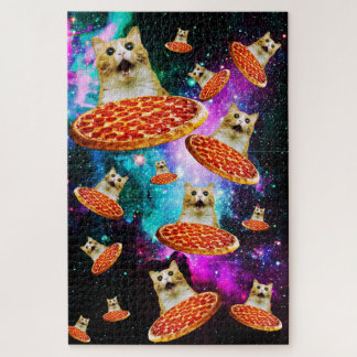 Funny space pizza cat
