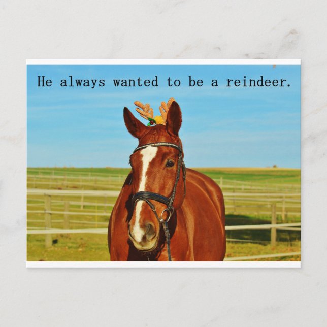 Funny Spaß Horse Rentier Weihnachten Weihnachten W (Vorderseite)
