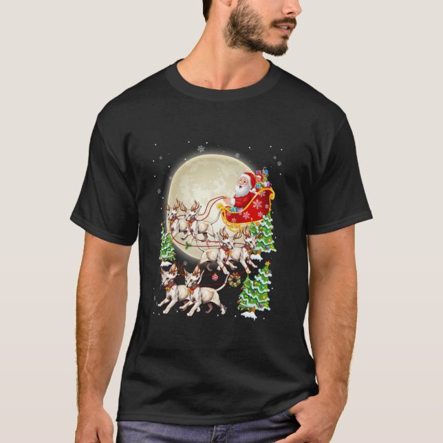 Funny Sphynx Cat Reindeer Santa Sleigh Merry Chris T-Shirt (Vorderseite)