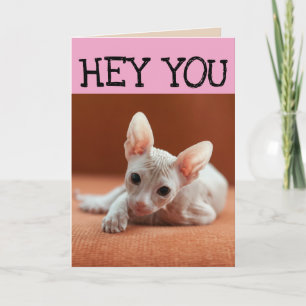 FUNNY SPHYNX CHAT CARTES DE SALUT D'ANNIVERSAIRE