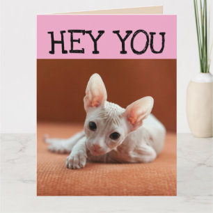 FUNNY SPHYNX CHAT CARTES DE SALUT D'ANNIVERSAIRE