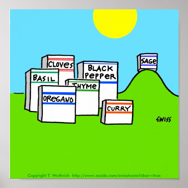 Funny Spices Bright Colorful Cartoon Küche Poster (Vorne)