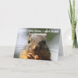 Funny Squirrel Birthday Card Karte