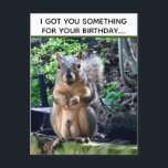 Funny Squirrel Deez Nuts Unangemessen Geburtstag Postkarte<br><div class="desc">Ich habe dir etwas zum Geburtstag got... DEEZ NUTS! Ein unglaublich witzig Eichhörnchen spielt Wortwahl über seine Nüsse. Roher Spaß zum Geburtstag eines Erwachsenen. Lassen Sie Ihre Freunde mit diesem Pop-Kulturangebot auf einer lustigen Postkarte lachen.</div>