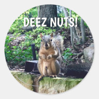 Funny Squirrel Deez Nuts Unangemessenes Spaß Foto
