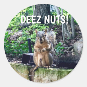 Funny Squirrel Deez Nuts Unangemessenes Spaß Foto Runder Aufkleber