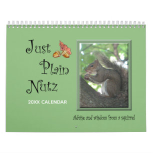 Funny Squirrel Gerade Schlicht Nutz Calendar Kalender