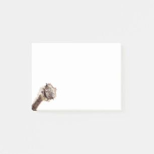 Funny Sticky Notes with Happy Playful Ostrich Post-it Klebezettel