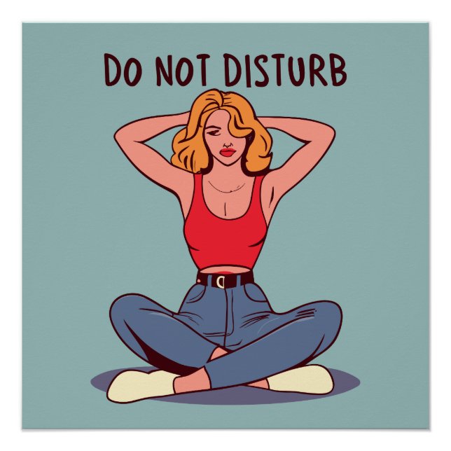 Funny stört nicht poster (Vorderseite)