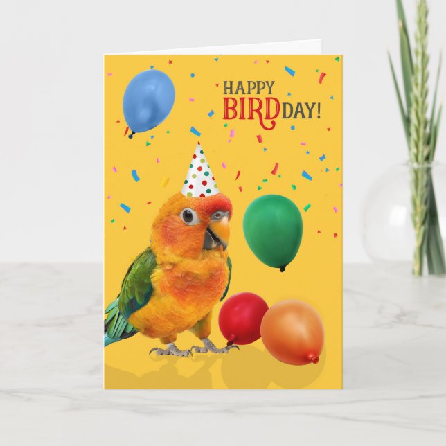 Funny Sun Conure Parrot Birthday Karte (Vorderseite)