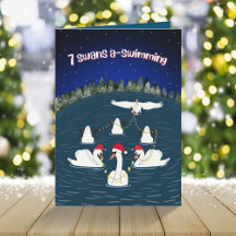 Funny Swimming 12 Tage Weihnachtsschwäne