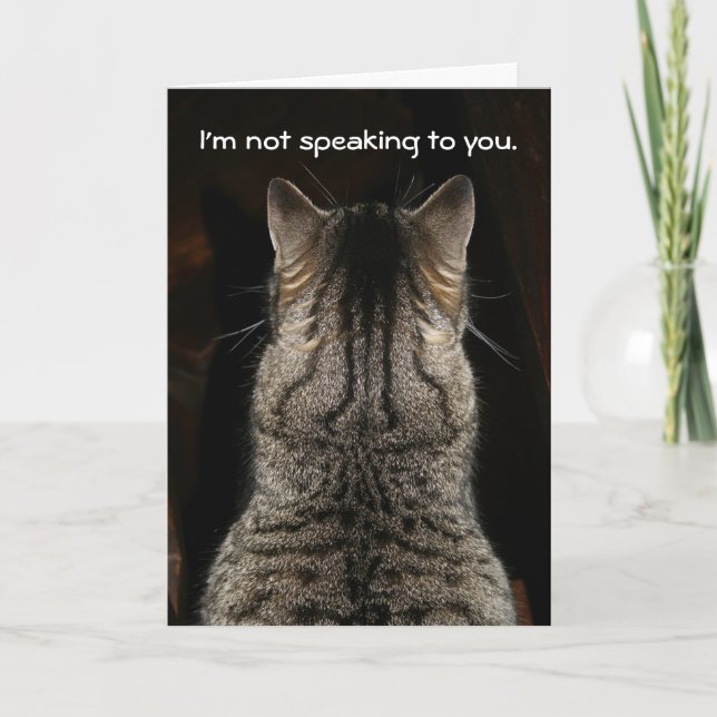 Funny Tabby Cat Birthday Card Karte (Vorderseite)