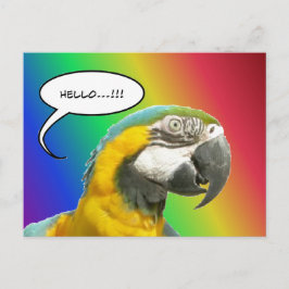 Funny Talk Parrot Rainbow Hallo Postcard Postkarte