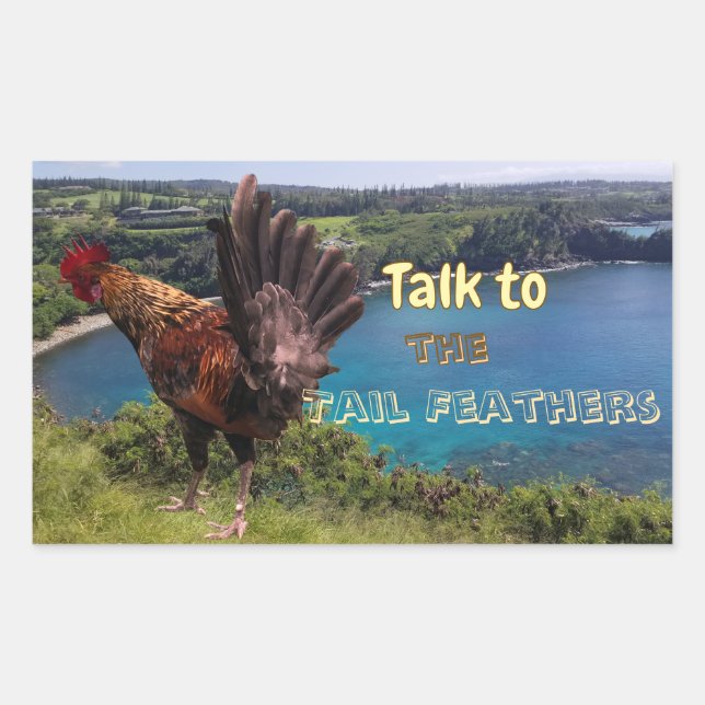 Funny Talk to the Tail Feathers Rooster Rechteckiger Aufkleber (Vorderseite)