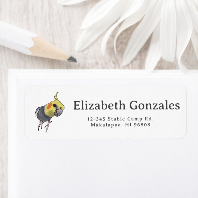 Funny Talking Grey Cockatiel Hello Pretty Bird (Insitu)