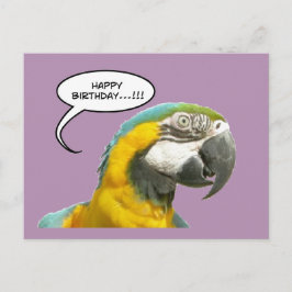 Funny Talking Parrot Geburtstagskarte Postkarte