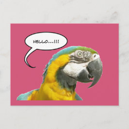 Funny Talking Parrot Hallo Postcard Postkarte