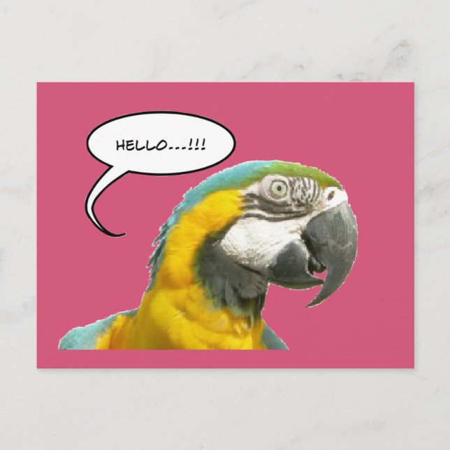 Funny Talking Parrot Hello Carte postale (Devant)