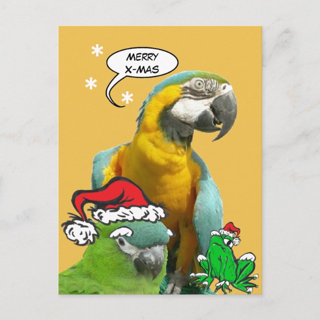 Funny Talking Parrot Merry X-Mas Postcard Postkarte (Vorderseite)
