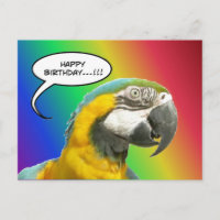 Funny Talking Parrot Rainbow Birthday Carte postal