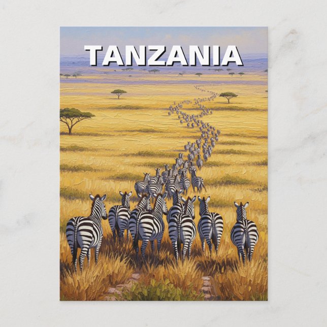 Funny Tansania Serengeti Nationalpark Zebra Postkarte (Vorderseite)