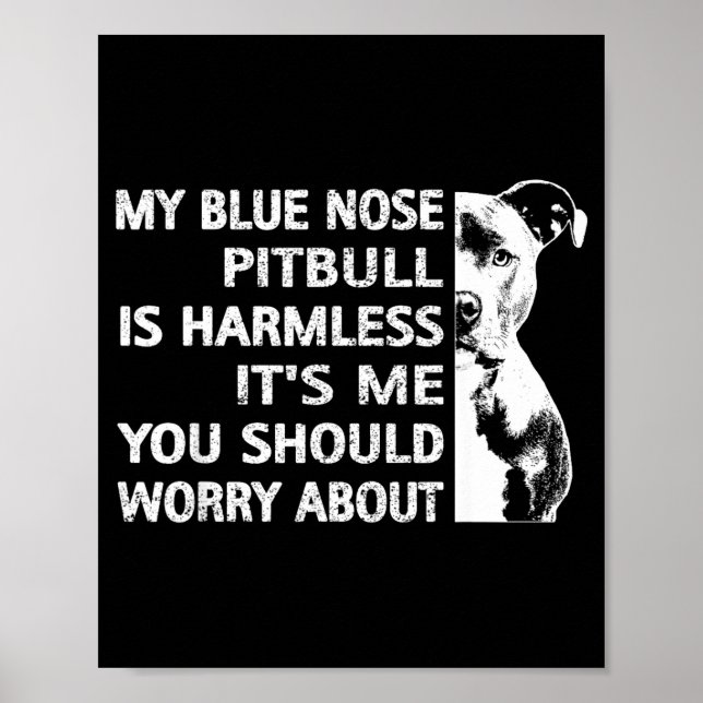 Funny Tbull Quote Blue Nose Tbull Design Cool Dog  Poster (Vorne)