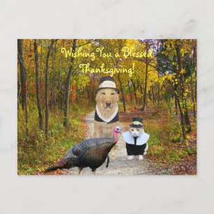 Funny Thanksgiving Postcard Feiertagspostkarte