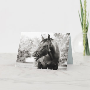 Funny Thinking Your Horse Card Karte
